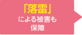 「落雷」による被害も保障